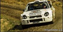 Pirelli Rally